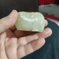 سنگ شجر دریایی|کلکسیون اشیاء عتیقه|تهران, شهرک طالقانی|دیوار