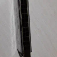 ساز دهنی|سازهای بادی|مشکین‌دشت, |دیوار