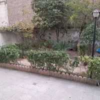 فاطمی زرتشت ۳۵۰متر کلنگی  بر ۱۱/۵ شمالی