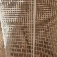 قفس آهنی|لوازم جانبی حیوانات|شاهین‌شهر, فردوسی|دیوار