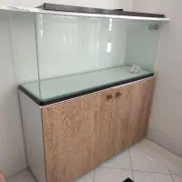آکواریوم شرکتی شیشه خم