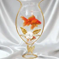 گروه تولیدیiranluxمتنوع ترین هفت سین تنگ ماهی سبزه