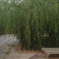 باغ ۱۰۰۰ متری ۴ دیواری|فروش خانه و ویلا|احمدآبادمستوفی, |دیوار