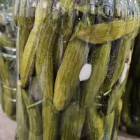 خیارشور