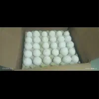 تخم مرغ عمده کارتن سنگین وزن زرده نارنجی2.990