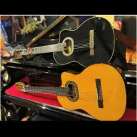 ++ گیتار ++|گیتار، بیس، امپلیفایر|تهران, نازی‌آباد|دیوار