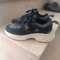 کتونی|کیف، کفش، کمربند|نورآباد, |دیوار