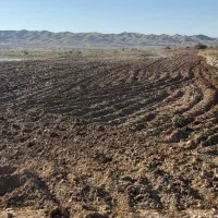 .زمین بر اصلی جاده ریکا|فروش دفتر صنعتی، کشاورزی، تجاری|صالح آباد (ایلام), |دیوار