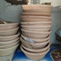 جا تخمی سوفالی کفتر کاسه لکی