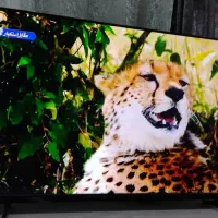 تلویزیون ال ای دی ۵۰اینج  هایسنس فورکی اکبند