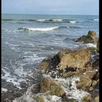 تور شاد شمال