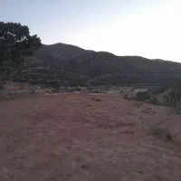 زمین باغی
