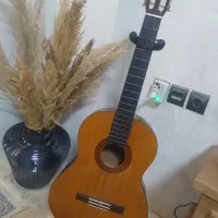 گیتار c40 اصل