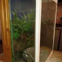 آکواریوم ،با ارتفاع۶۰،طول۴۰،عرض۲۰ سانتیمتر سالم