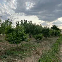 قواره باغی (آبشینه-املاک آروان)|فروش زمین و ملک کلنگی|همدان, |دیوار