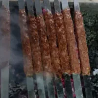 کوبیده گوشت ومرغ
