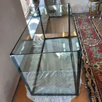 اکواریوم|ماهی|تبریز, |دیوار