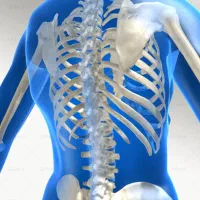 اصلاحات حرکتی