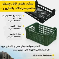 سبد پرتقال و مرکبات / فرصت همکاری