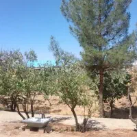 اجاره ورهن باغ ومحوطه متصل بهم جهت کافه رستوران
