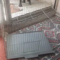 قفس پرنده|لوازم جانبی حیوانات|تهران, دولتآباد|دیوار