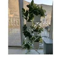 گل و گلدان با استند
