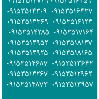 ۰۹۱۵۳۵۱۸۲۰۳