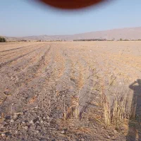 2000|فروش دفتر صنعتی، کشاورزی، تجاری|فیروزآباد (فارس), |دیوار