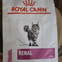 غذای گربه رویال کنین رنال renal