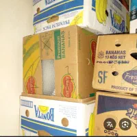 کارتن موزی خالی