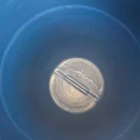 بشکه و یا گالن ۲۲۰ لیتری پلاستیکی|مصالح و تجهیزات ساختمان|بندرعباس, |دیوار