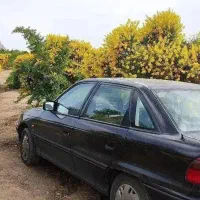 اپل آسترا|خودرو سواری و وانت|اصفهان, مسجد مصلی|دیوار