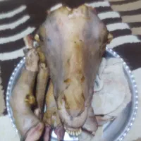 کله پاچه و سیرابی کامل گوسفند