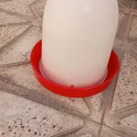 دانخوری آبخوری