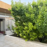 باغ کوشک در بهترین منطقه کوشک