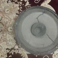 باندگردباقدرتبالا