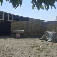اجاره خانه برای جای دام|اجارهٔ خانه و ویلا|کنگاور, |دیوار