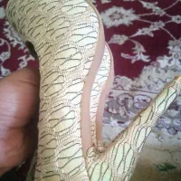کفش نو