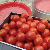 آبگیری ابگیری گوجه انگور سیب ابگوجه رب شیره