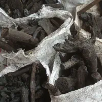 زغال کبابی|خدمات باغبانی و درختکاری|نیشابور, مازول|دیوار