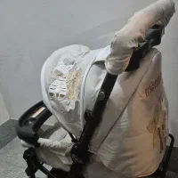 کالسکه در حد نو مارک دلیجان