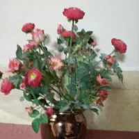 گل گلدان