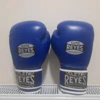 دستکش بوکس 12 اونس