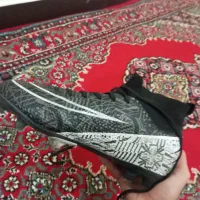 ابو حمیضه خیابان کشاورزی .|کیف، کفش، کمربند|سوسنگرد, |دیوار