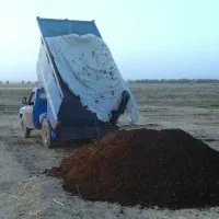 کود گاوی فراوری شده درجه 1 استان  قدس  رضوی|خدمات باغبانی و درختکاری|مشهد, شهرک صنعتی توس|دیوار