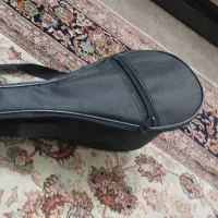 سه تار|سازهای سنتی|زنجان, |دیوار