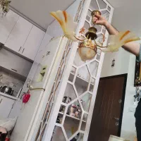 لوستر|لوستر و چراغ آویز|مشهد, مشکینی (شهرک غرب)|دیوار