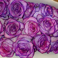 نیروی جوان آقا جهت کار در گلخانه