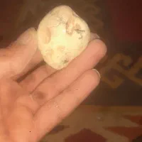 سنگ|کلکسیون اشیاء عتیقه|لردگان, |دیوار