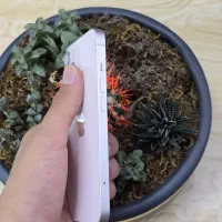 اپل iPhone 13 با حافظهٔ ۱۲۸ گیگابایت|موبایل|کرج, اصفهانی‌ها|دیوار